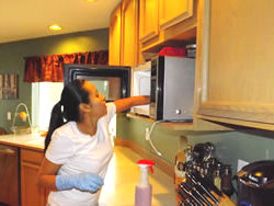 Tenancy Cleaning Kitchen